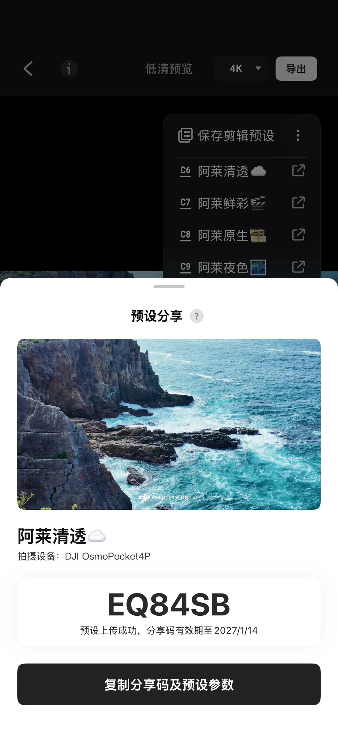 生成包含色彩预览的分享码